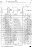 1880 Census - Williamson County, Texas