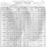 1900 Census - Williamson County, Texas