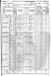 1870 Census - Austin, Texas